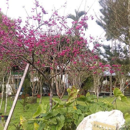 Sun Moon Lake Wild Flower Yuchi Exterior foto