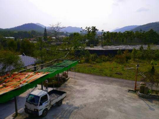Sun Moon Lake Wild Flower Yuchi Exterior foto